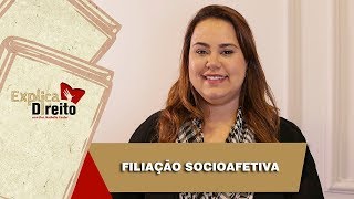 Explica Direito Filiação Socioafetiva  2019 [upl. by Annauqal811]