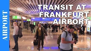 TRANSIT WALK AT FRANKFURT Airport FRA Terminal 1  Connection Flight Transfer Arriving amp Departing [upl. by Redmer553]